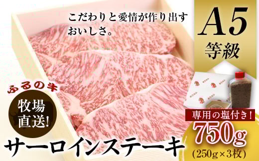 黒毛和牛特選サーロインステーキ 750g(250g×3枚) A5 有限会社ふるの《30日以内に出荷予定(土日祝除く)》---skr_ffrnsirl_30d_r7_50000_750g---