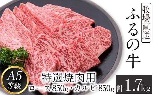 ふるの牛（黒毛和牛）特選焼肉用 1.7kg (ロース850g、カルビ850g) A5 《30日以内に出荷予定(土日祝除く)》---skr_ffrnyknk_30d_r7_100000_1700g---