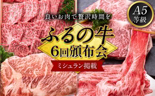 ふるの牛 頒布会 計5kg以上 全6回《お申込み月の翌月から出荷開始》---skr_fhrnpretei_r7_400000_mo6num1---