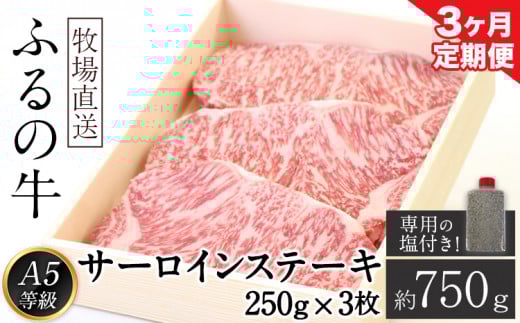 【3ヶ月定期便】ふるの牛 特選サーロインステーキ 750g(250g×3枚) 有限会社ふるの《お申込み月の翌月から出荷開始》---skr_fhrnsttei_r7_150000_mo3num1---