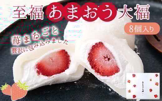 至福 あまおう 大福 8個セット 北九食品株式会社 《30日以内に出荷予定(土日祝除く)》---skr_fktkamaodai_30d_r7_13000_8i---