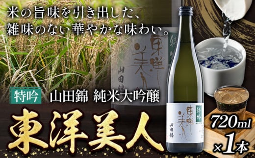 日本酒 新酒 東洋美人 特吟 山田錦 純米大吟醸 720ml 1本 福岡吟醸倶楽部株式会社《30日以内に出荷予定(土日祝除く)》---skr_gntybjn_30d_r7_11500_720ml---