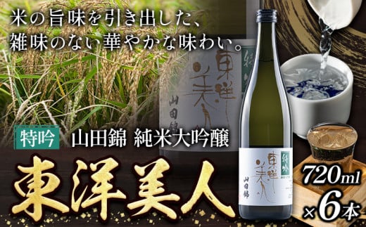 日本酒 東洋美人 特吟 山田錦 純米大吟醸 6本 計4320ml 福岡吟醸倶楽部株式会社《30日以内に出荷予定(土日祝除く)》 ---skr_gntybjn_30d_r7_60000_6i---