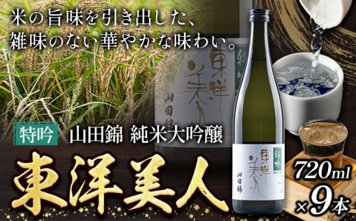 日本酒 東洋美人 特吟 山田錦 純米大吟醸 9本 計6480ml 福岡吟醸倶楽部株式会社《30日以内に出荷予定(土日祝除く)》 ---skr_gntybjn_30d_r7_90000_9i---