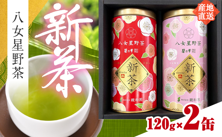 新茶 八女星野茶 120g × 2缶 計240g 株式会社親和園 [30日以内に出荷予定(土日祝除く)] 福岡県 鞍手町 産地直送 新茶 旬 茶 お茶 緑茶 日本茶 贈答用 家庭用 送料無料---skr_snym_30d_24_10500_2i---