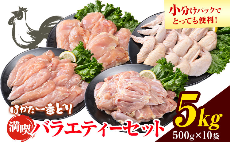 はかた一番どり 満喫バラエティセット もも肉 むね肉 手羽先 ささみ 計 5kg [30日以内に出荷予定予定(土日祝除く)]福岡県 鞍手郡 鞍手町 大容量 鶏肉 鳥肉 冷凍 送料無料 株式会社あらい 鶏モモ肉 鶏むね肉 鳥 鶏---skr_fhticm_30d_24_21500_5kg---