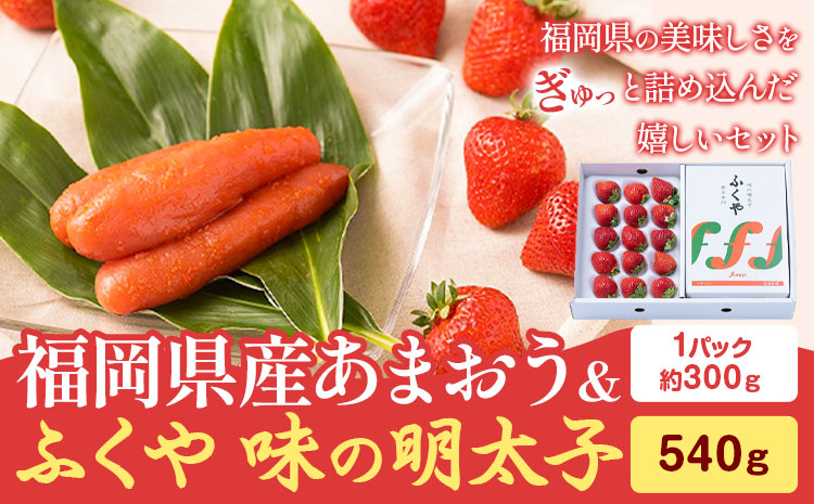 福岡県産あまおうギフト箱 & ふくや味の明太子 540g 南国フルーツ株式会社[1月上旬-3月末頃出荷]福岡県 鞍手町 あまおう いちご めんたいこ 明太子 セット 送料無料---skr_cnngkg_af13_25_31000_540g---