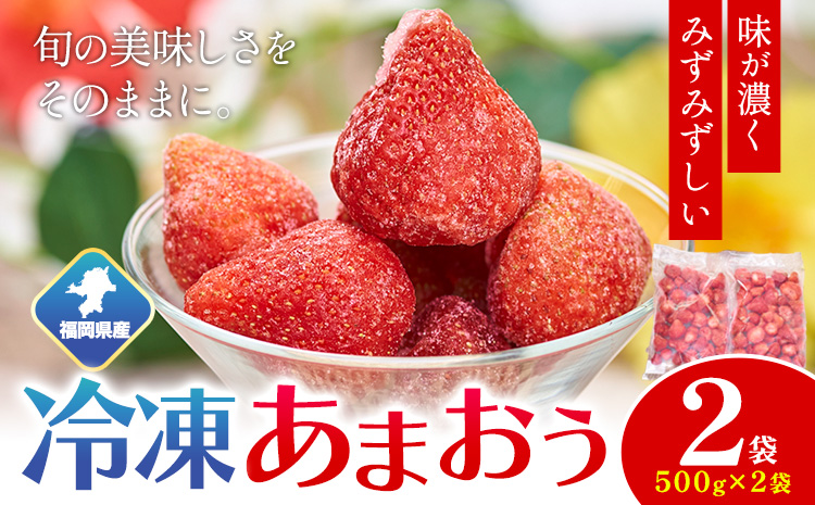 福岡県産 冷凍あまおう1kg(500g×2袋) 南国フルーツ株式会社[12月中旬-3月末頃出荷]福岡県 鞍手町 あまおう いちご イチゴ 送料無料[配送不可地域あり]---skr_fnngkam_bc123_24_14000_1kg---