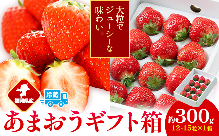 福岡県産 あまおう ギフト箱 約300g 南国フルーツ株式会社[12月上旬-3月末頃出荷]福岡県 鞍手町 あまおう いちご イチゴ 送料無料[配送不可地域あり]---skr_cnngkam_af123_25_13500_15i---