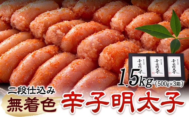 辛子明太子 無着色・二段仕込み 1.5kg ( 500g × 3箱 ) 株式会社博多の味本舗[30日以内に出荷予定(土日祝除く)]福岡県 鞍手郡 鞍手町 めんたいこ 明太子 送料無料---skr_fhtajmtkn_30d_24_21500_3i---