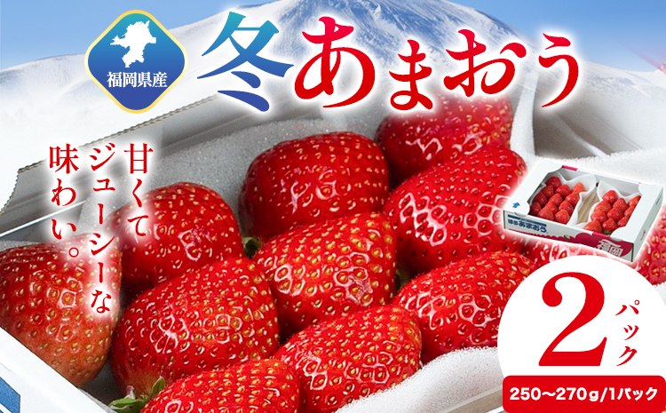 福岡県産 冬あまおう 2パック 南国フルーツ株式会社[12月上旬-1月末頃出荷]福岡県 鞍手町 あまおう いちご イチゴ 送料無料[配送不可地域あり]---skr_cnngkam_af12_24_13500_500g---