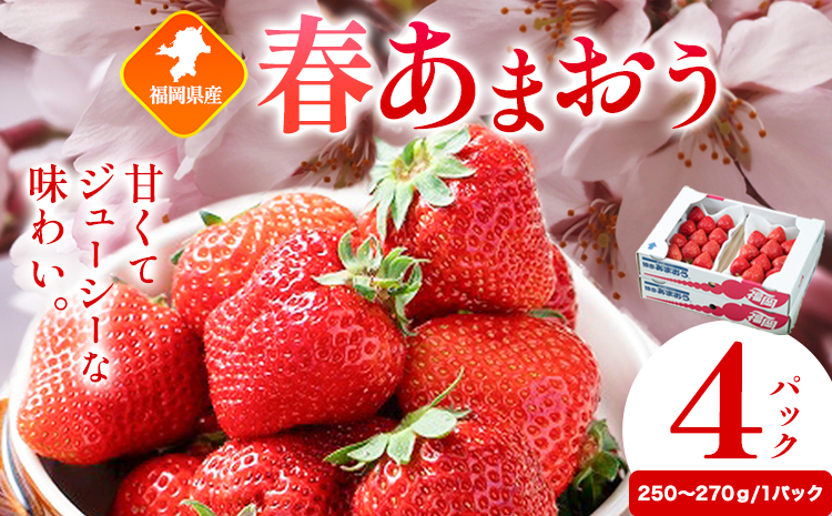 福岡県産 春あまおう 4パック 南国フルーツ株式会社[2月上旬-3月末頃出荷]福岡県 鞍手町 あまおう いちご イチゴ 送料無料[配送不可地域あり]---skr_cnngkam_af2_25_13500_1kg---
