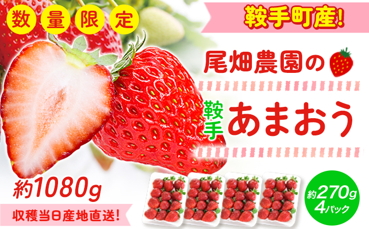 農家直送!先行予約 鞍手町産あまおう 約1080g 約270g×4パック 尾畑農園[令和8年1月中旬頃-3月中旬頃出荷]---iskr_cobau_q13_25_15000_1080g---