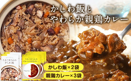 たまご屋さんのかしわ飯とやわらか親鶏カレー 計5袋 300g×5袋 野上養鶏場 [60日以内に出荷予定(土日祝除く)]味宝卵 ー---skr_ngmksca_60d_22_12000_1500g---