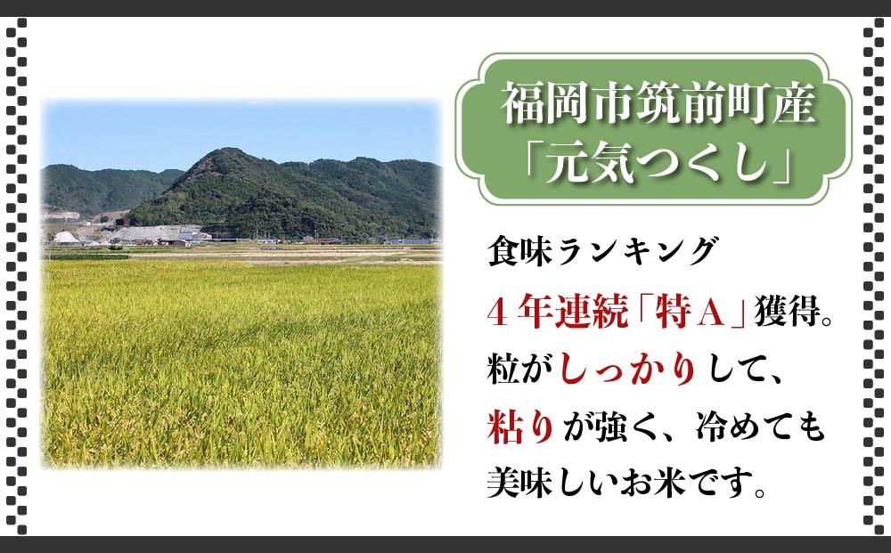 【年内発送】＜令和7年産＞キャンプ飯 元気つくし無洗米 真空パック 1合×20袋 (3kg)