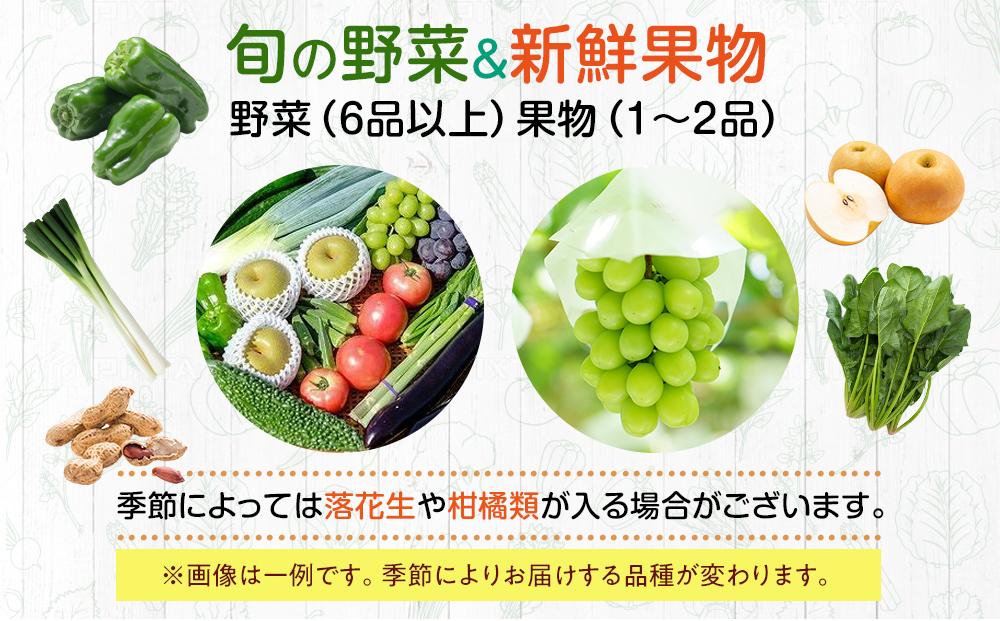 【直売所みなみの里厳選】旬の野菜・果物セット