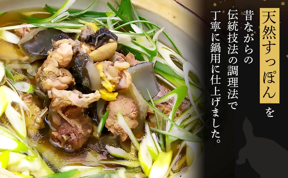 天然すっぽん鍋【2～3人前】