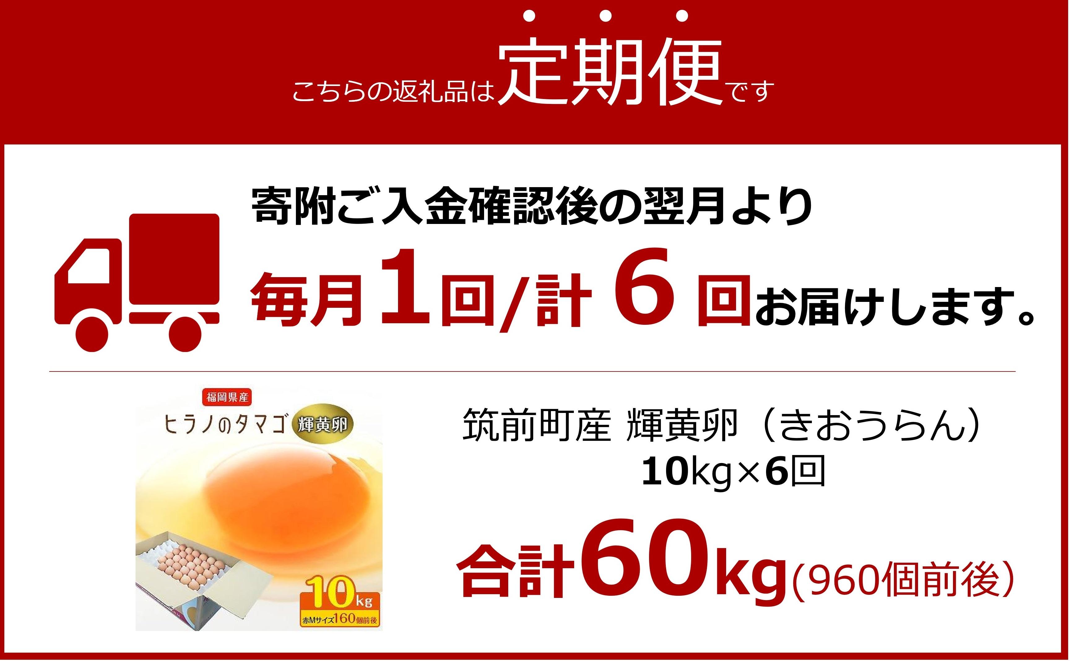 【定期便6回】ヒラノのたまご【輝黄卵(きおうらん)】赤Mサイズ10kg(160個前後)