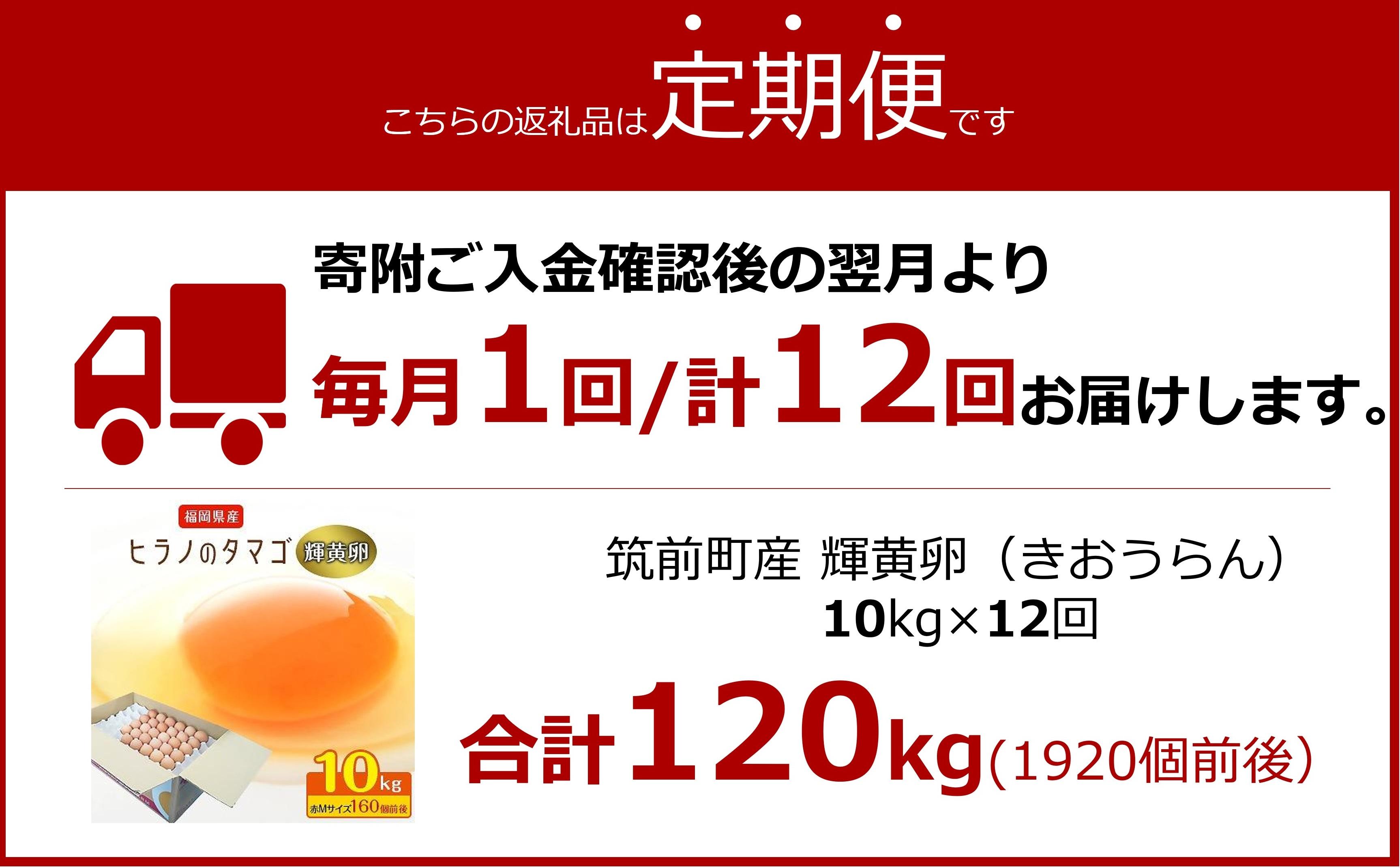 【定期便12回】ヒラノのたまご【輝黄卵(きおうらん)】赤Mサイズ10kg(160個前後)