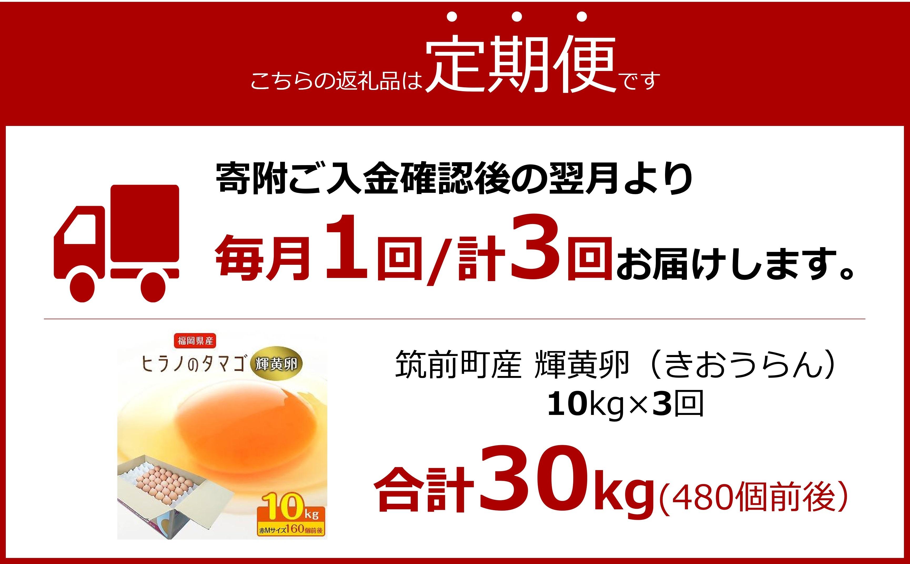 【定期便3回】輝黄卵（きおうらん）72個（6個入り×12パック）