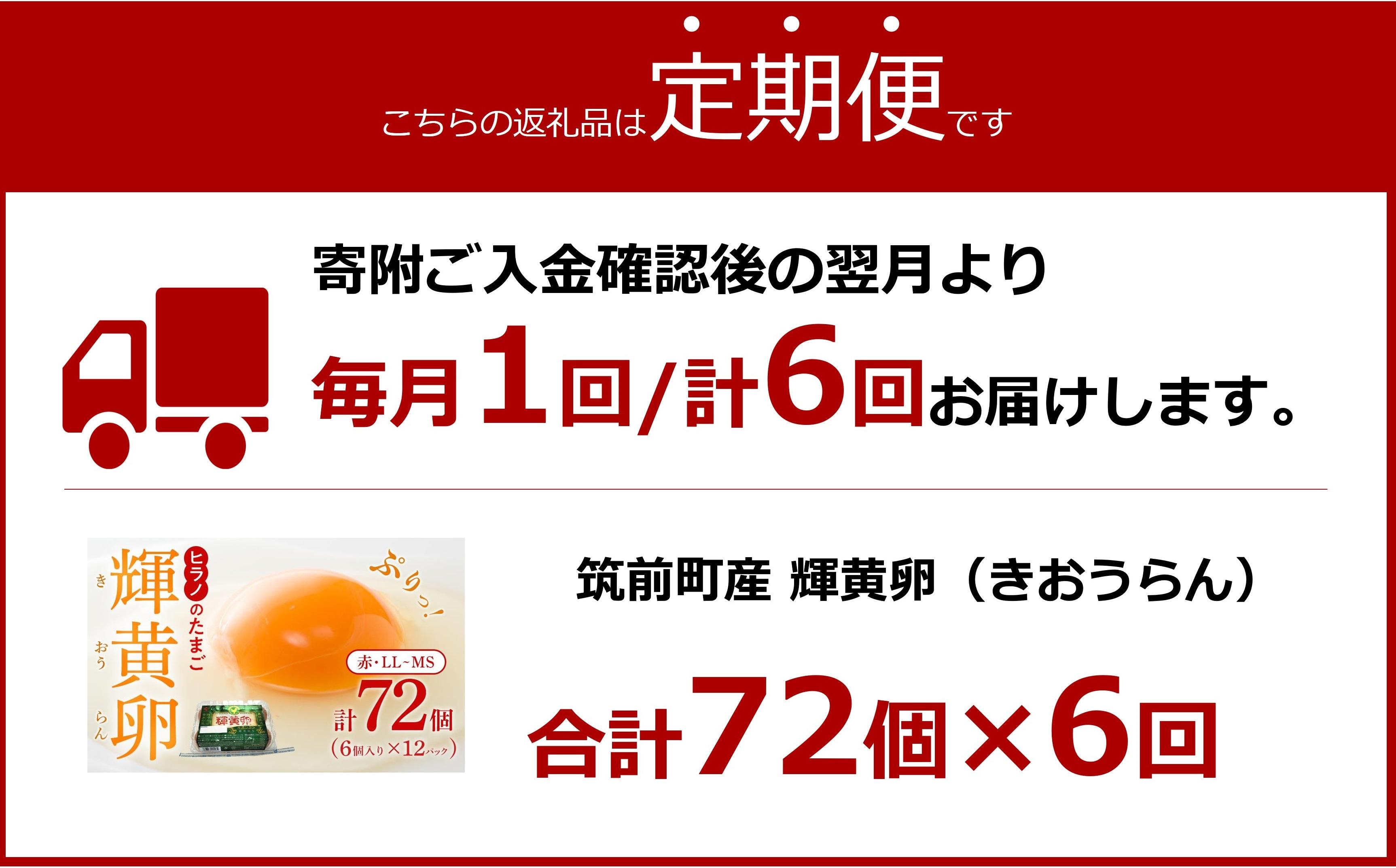 【定期便6回】輝黄卵（きおうらん）72個（6個入り×12パック）