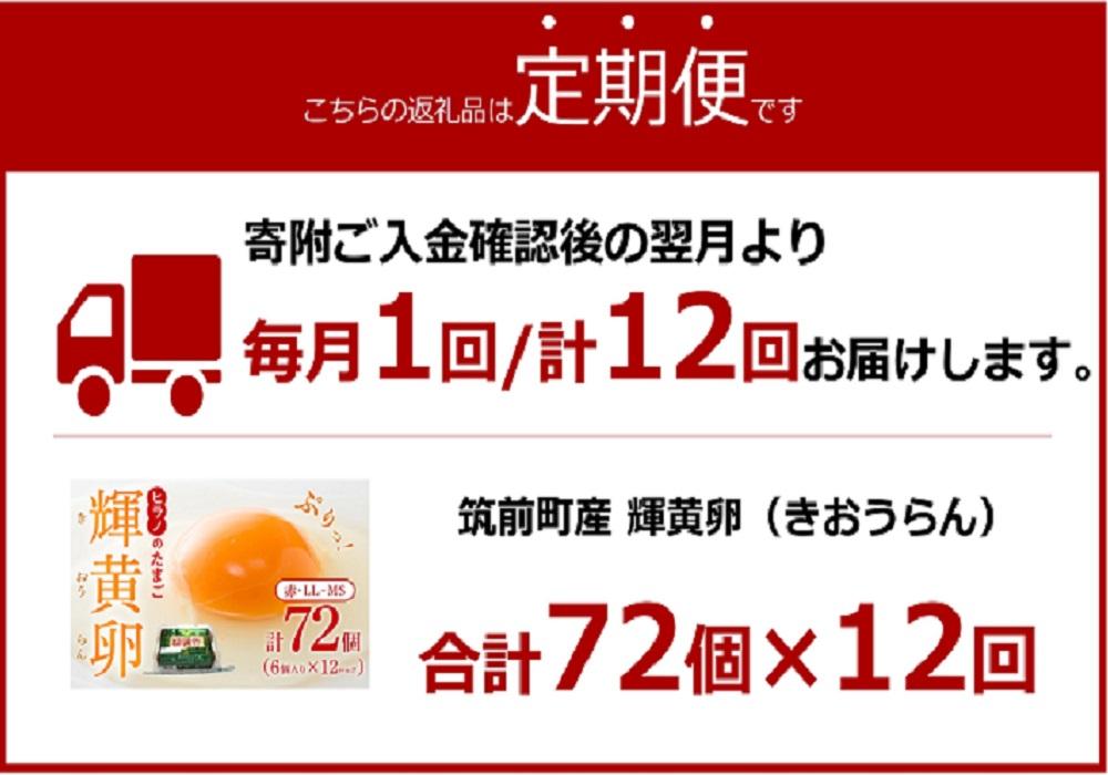 【定期便12回】輝黄卵（きおうらん）72個（6個入り×12パック）
