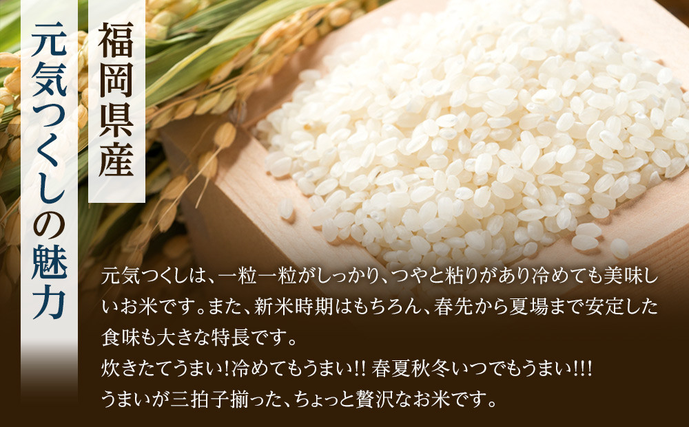 【令和7年度】福岡県産金のめし丸元気つくし　5kg(5kg×1袋)