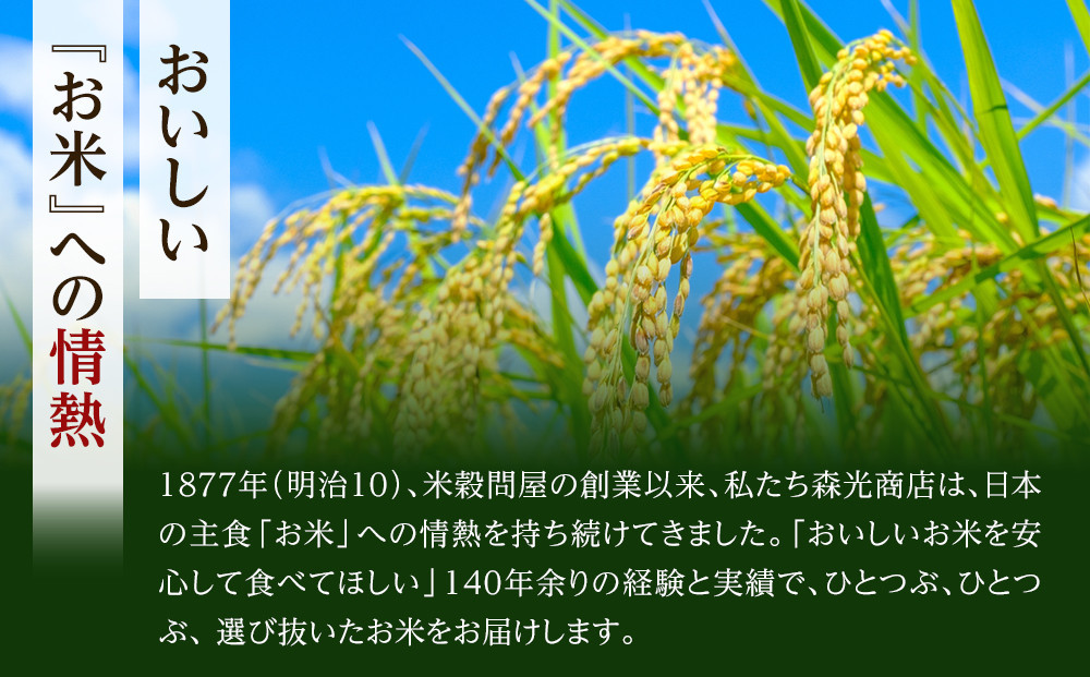 ＜令和7年産＞福岡県産金のめし丸夢つくし　3kg(3kg×1袋)