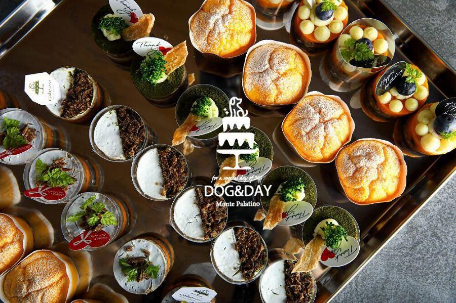 ペットフード(犬のおやつ)　小型犬用鹿肉のタルトケーキ風セット