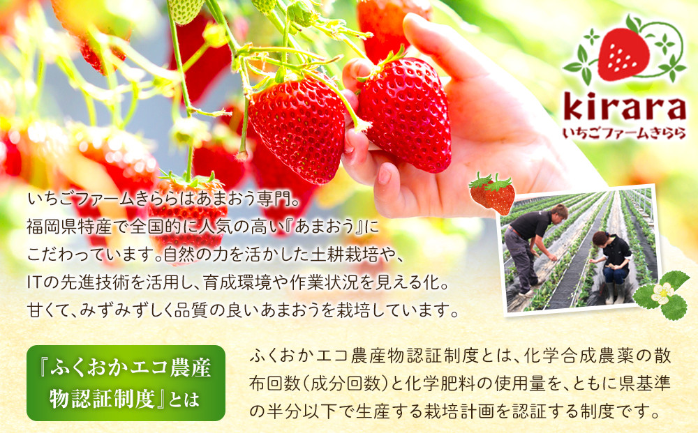 手作りあまおうジャム2瓶・手作りあまおうバター1瓶 ＜筑前町＞