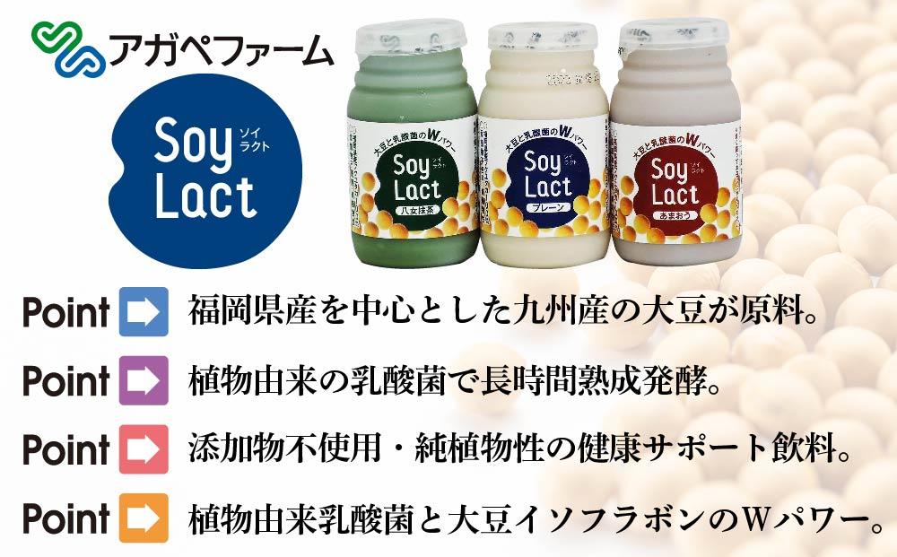 乳酸菌醗酵豆乳「ソイラクト」100ml×4本×3種（プレーン・あまおう・八女抹茶）