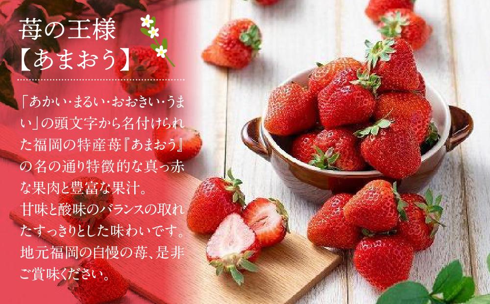 【先行予約 2025年12月上旬以降発送】福岡産あまおう12-15粒ギフト箱【筑前町】※一部離島不可