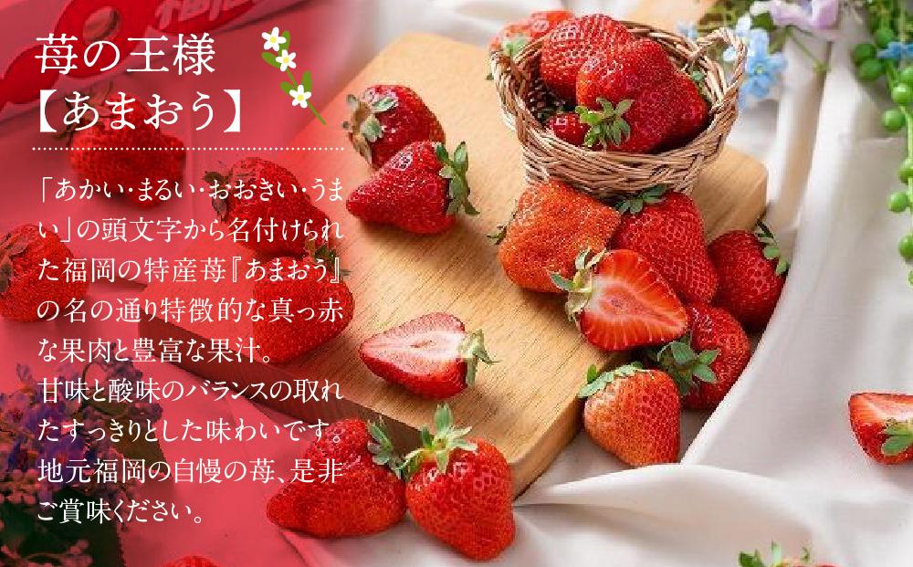 【先行予約 2026年2月上旬以降発送】福岡産【春】あまおう6パック【筑前町】※一部離島不可