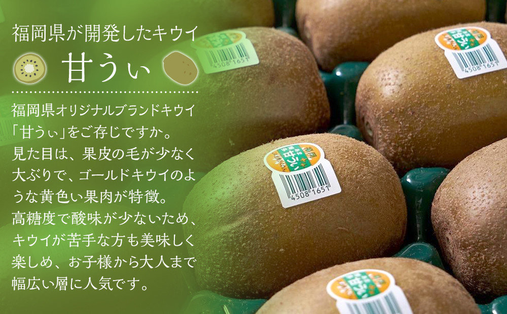 福岡産「甘うぃ」約3kg(24-33玉)【筑前町】