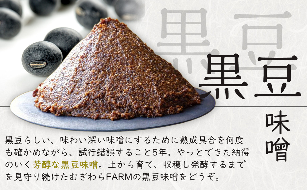 筑前クロダマル味噌セット（味噌500g、メシダマルシリーズ45g×４種）