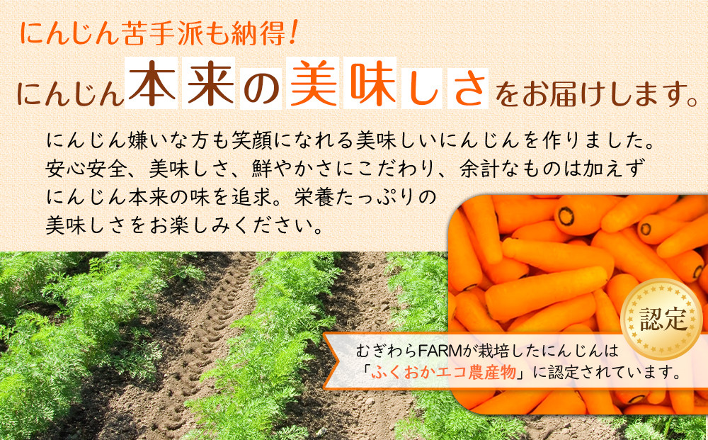 林人参セット( 人参ジュース720ml・ジャム125g・ドレッシング150ml)