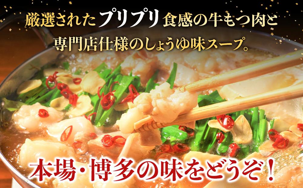 【定期便全4回】博多・牛もつ鍋セット3~4人前