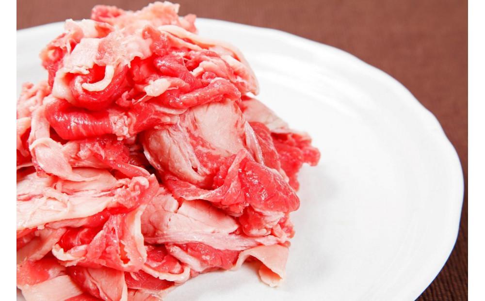 【定期便6回】博多和牛A4ランク以上切り落とし　訳あり!　500g