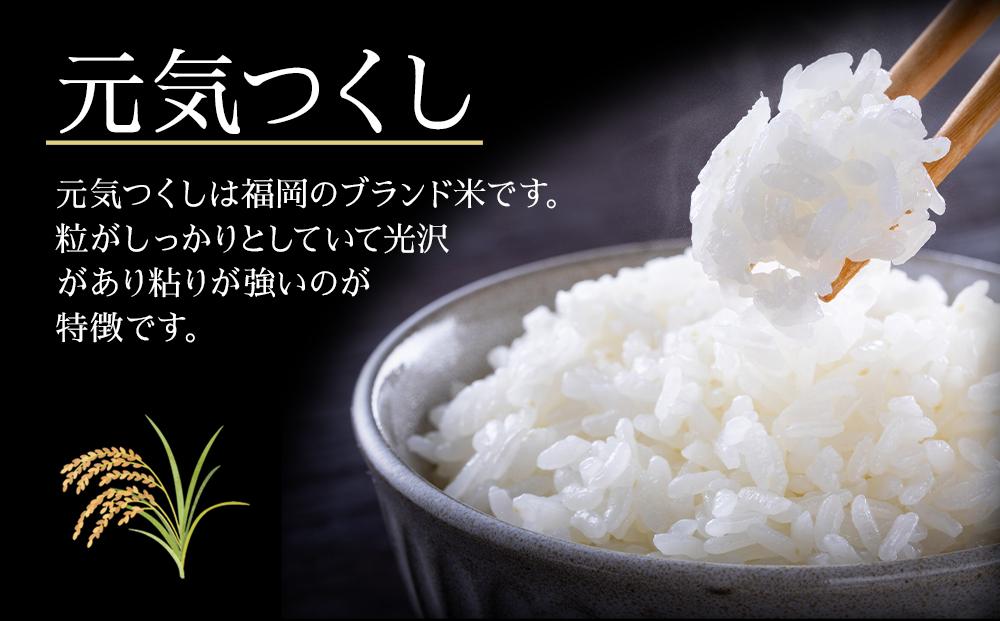 【年内発送】＜令和7年産＞キャンプ飯 元気つくし無洗米真空パック1合×15袋