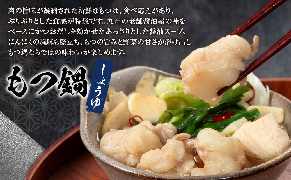 明太子ともつ鍋の福岡贅沢コラボセット