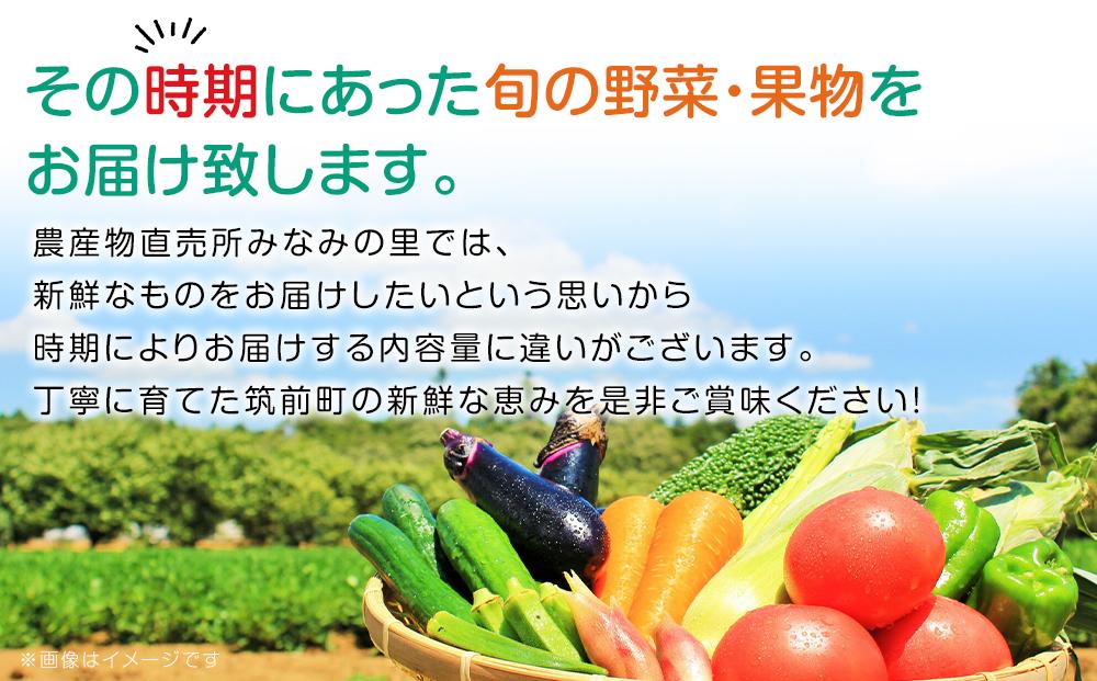 【直売所みなみの里厳選】旬の野菜・果物セット
