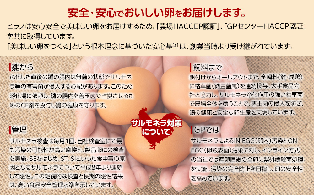 【年内発送】ヒラノのたまご【輝黄卵(きおうらん)】赤Mサイズ10kg(160個前後)