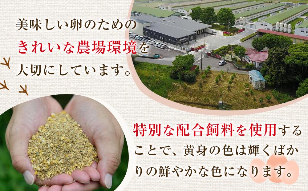 【年内発送】輝黄卵6個入り×12パック