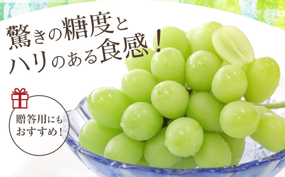 ＜期間限定！～12月31日まで寄附額改定＞【2026年先行予約】シャインマスカット約1kg（2房）【筑前町産】