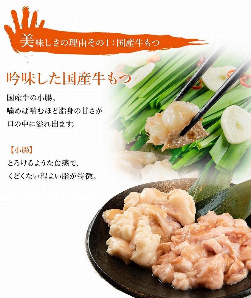 九州名物とめ手羽　博多もつ鍋セット　2-3人前　九州しょうゆ味 ＜筑前町＞