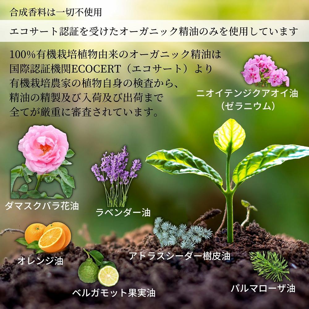 ウルラホワイトニングセラム30g2個セット