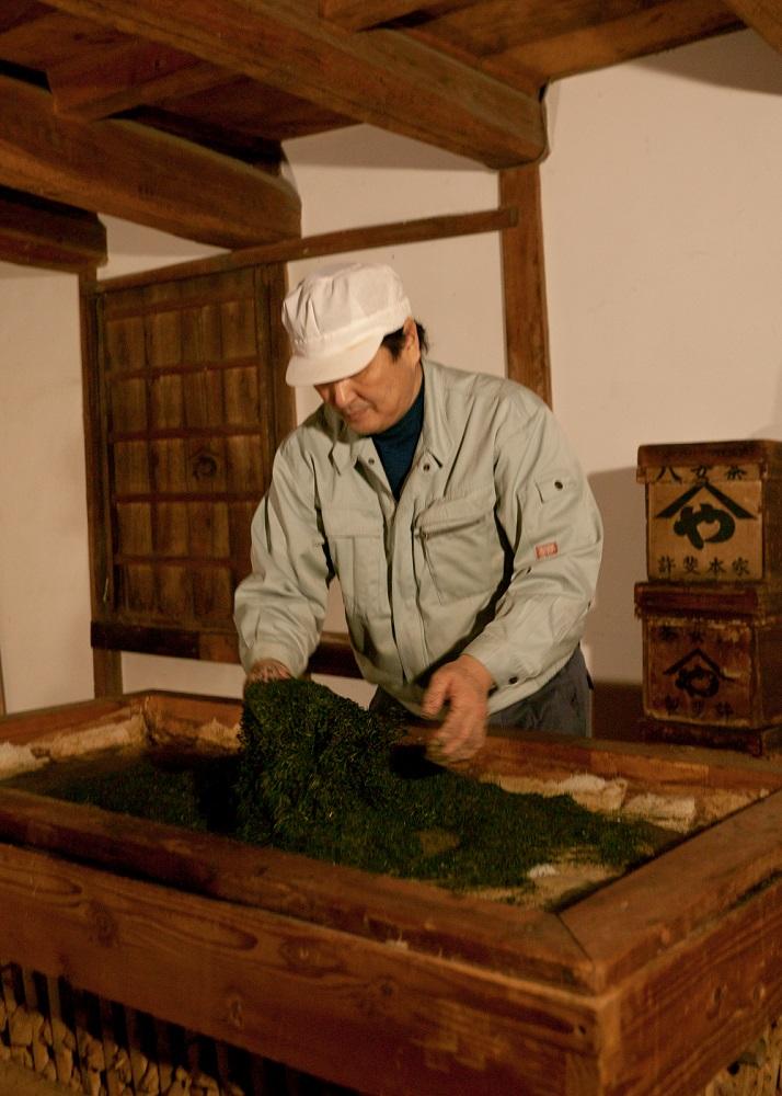 許斐本家14代目おススメの旬の特撰八女茶「翠」５本定番徳用セット【八女茶老舗　江戸宝永年間創業】（ご自宅用）