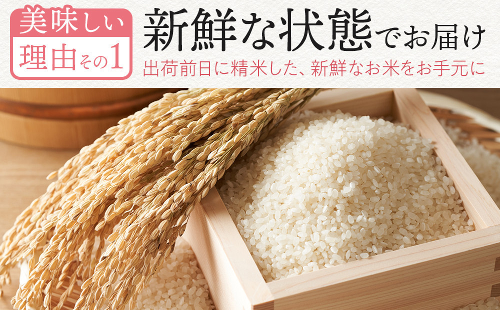 【令和7年産新米】【食味鑑定士厳選】福岡県産 夢つくし10kg (5kg×2袋)