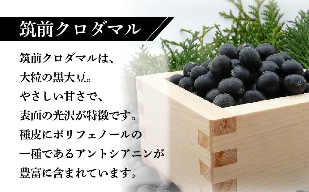 乳酸菌醗酵豆乳 ソイラクト (黒)  100ml×12本