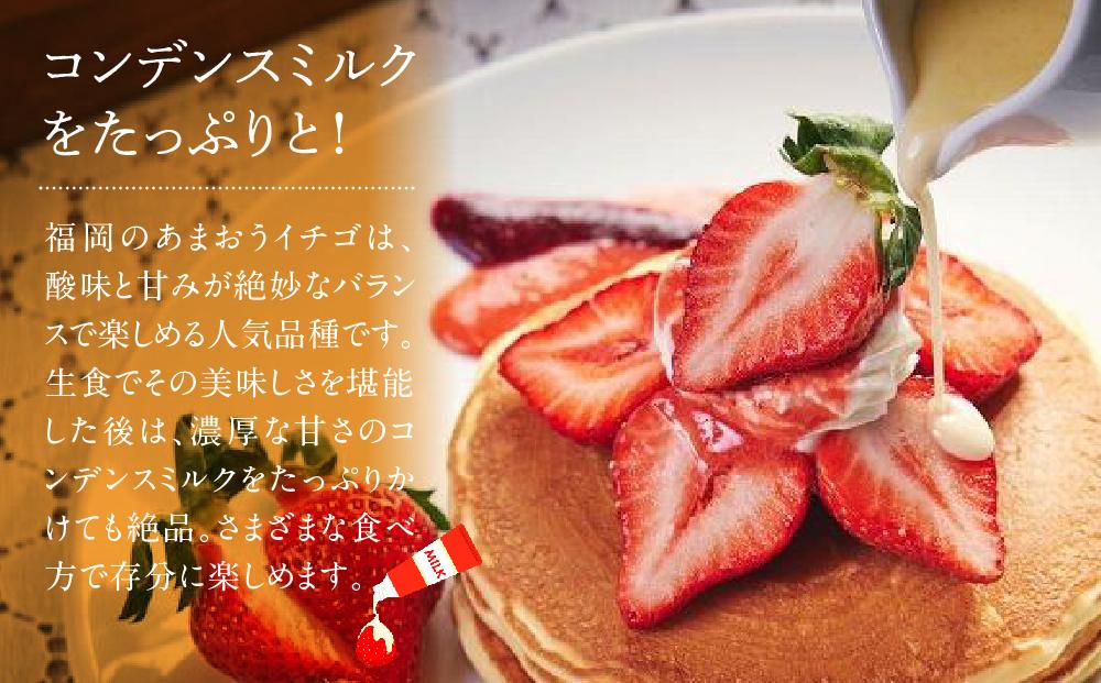 福岡産あまおう2パック＆練乳１個【筑前町】※一部離島不可